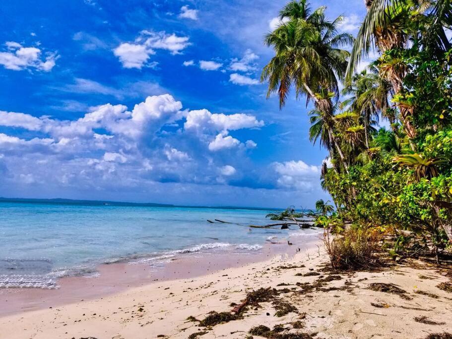Poetry Garden Bocas Town Colon Island Villa Bagian luar foto