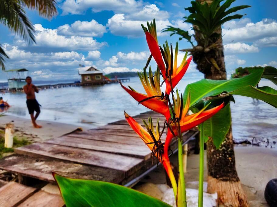 Poetry Garden Bocas Town Colon Island Villa Bagian luar foto