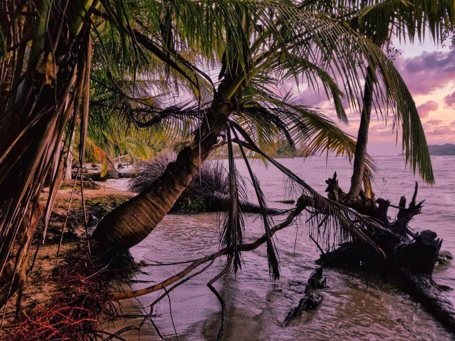 Poetry Garden Bocas Town Colon Island Villa Bagian luar foto